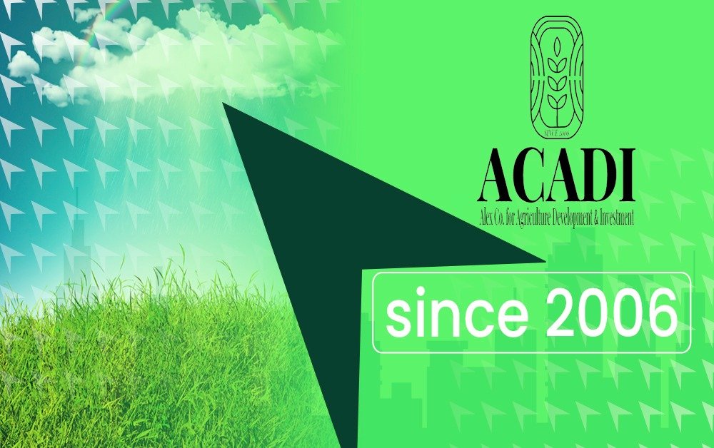 Alex Company Image